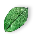 floating_leaf_01